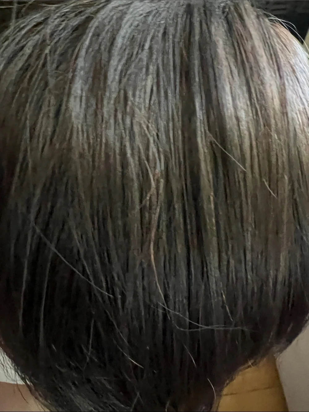 Short Women's Wig in Dark Brown